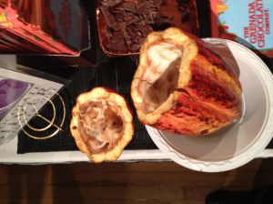 NY Chocolate Show 2012 - Cocoa pod interior