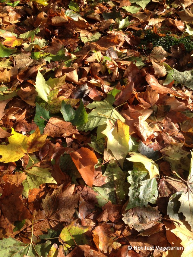 2013-10-Autumn-London (11)_NJV