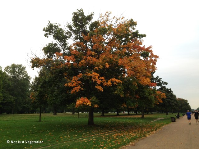 2013-10-Autumn-London (3)_NJV